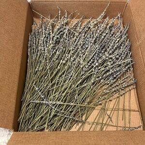 Box of dried lavender